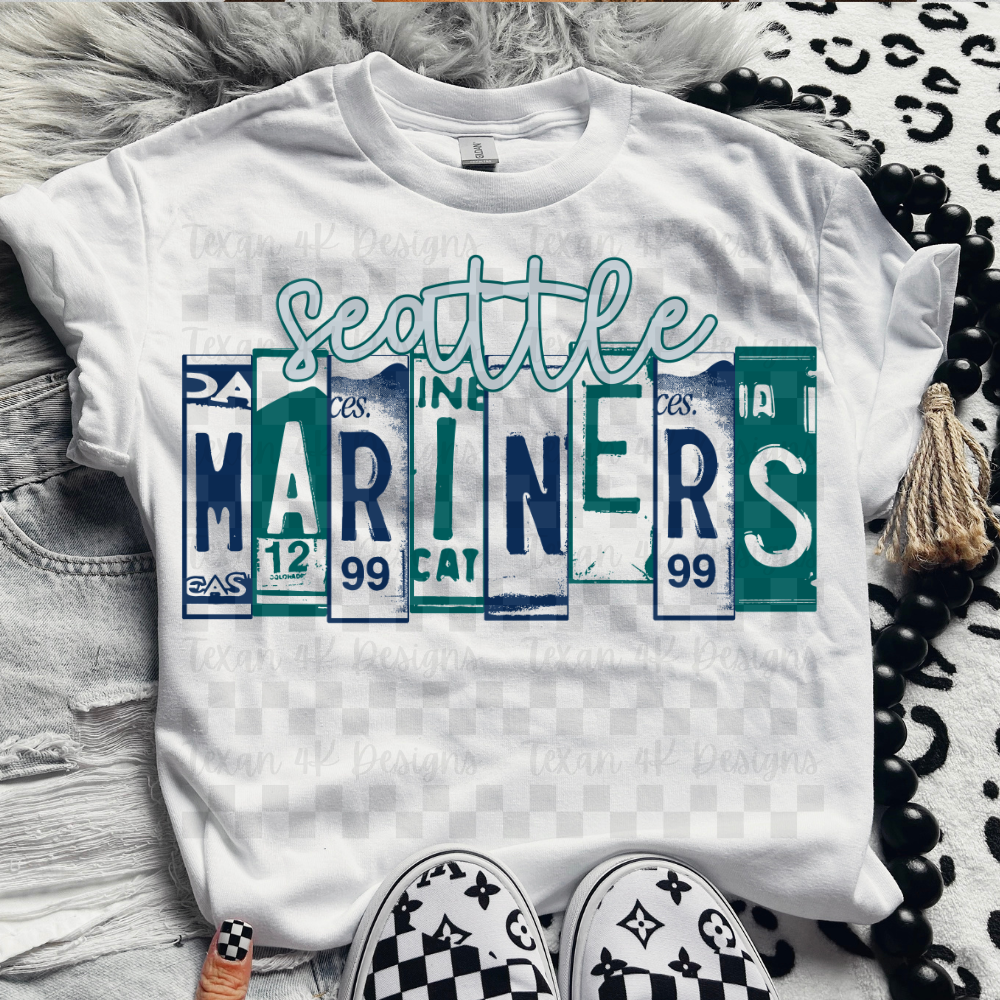 license plate S M - DIGITAL PNG