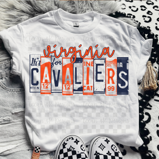 license plate V C-  DIGITAL PNG