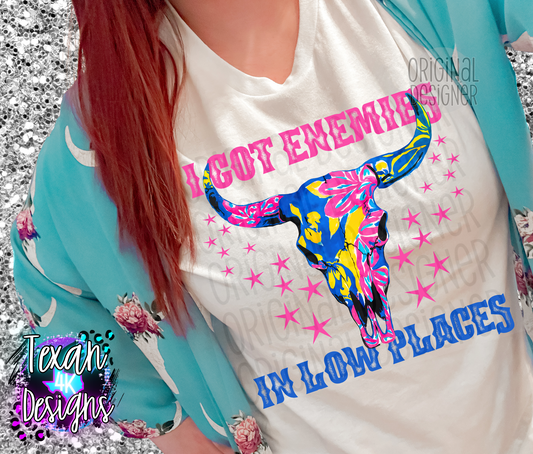 i got enemies in low places  - DIGITAL PNG