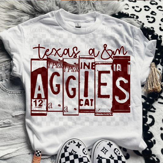 license plate Texas A- DIGITAL PNG