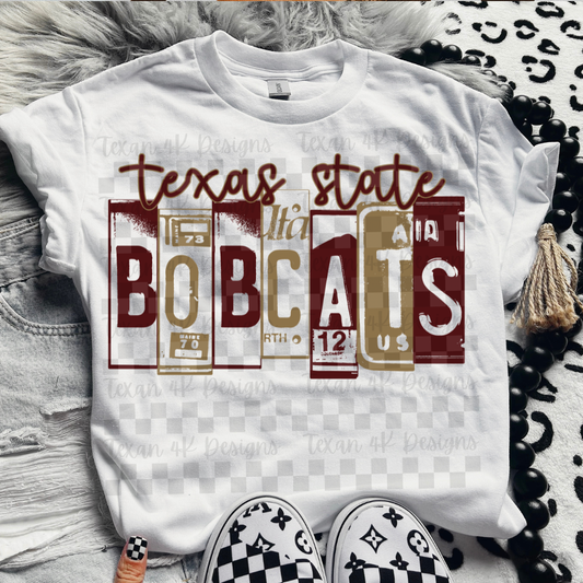 license plate TS B-  DIGITAL PNG