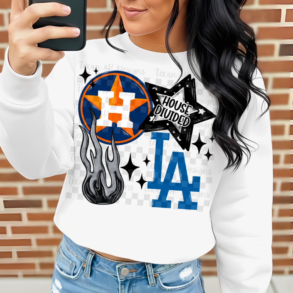 house divided A&LA - DIGITAL PNG