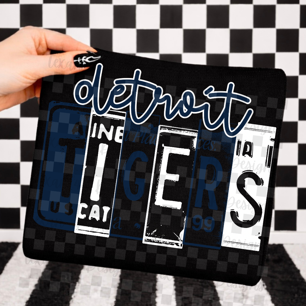 license plate D T- 2 DIGITAL PNG