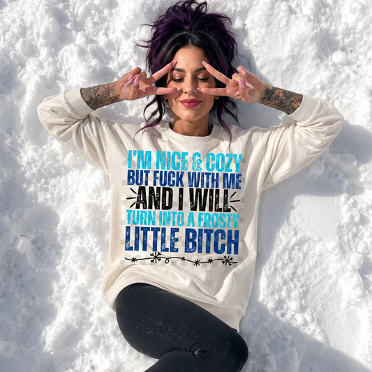 i'm nice & cozy - 2 DIGITAL PNG